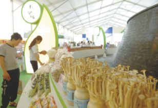 規模大、檔次高、印象深 打造邢臺農產品新形象的“正餐服務”之道